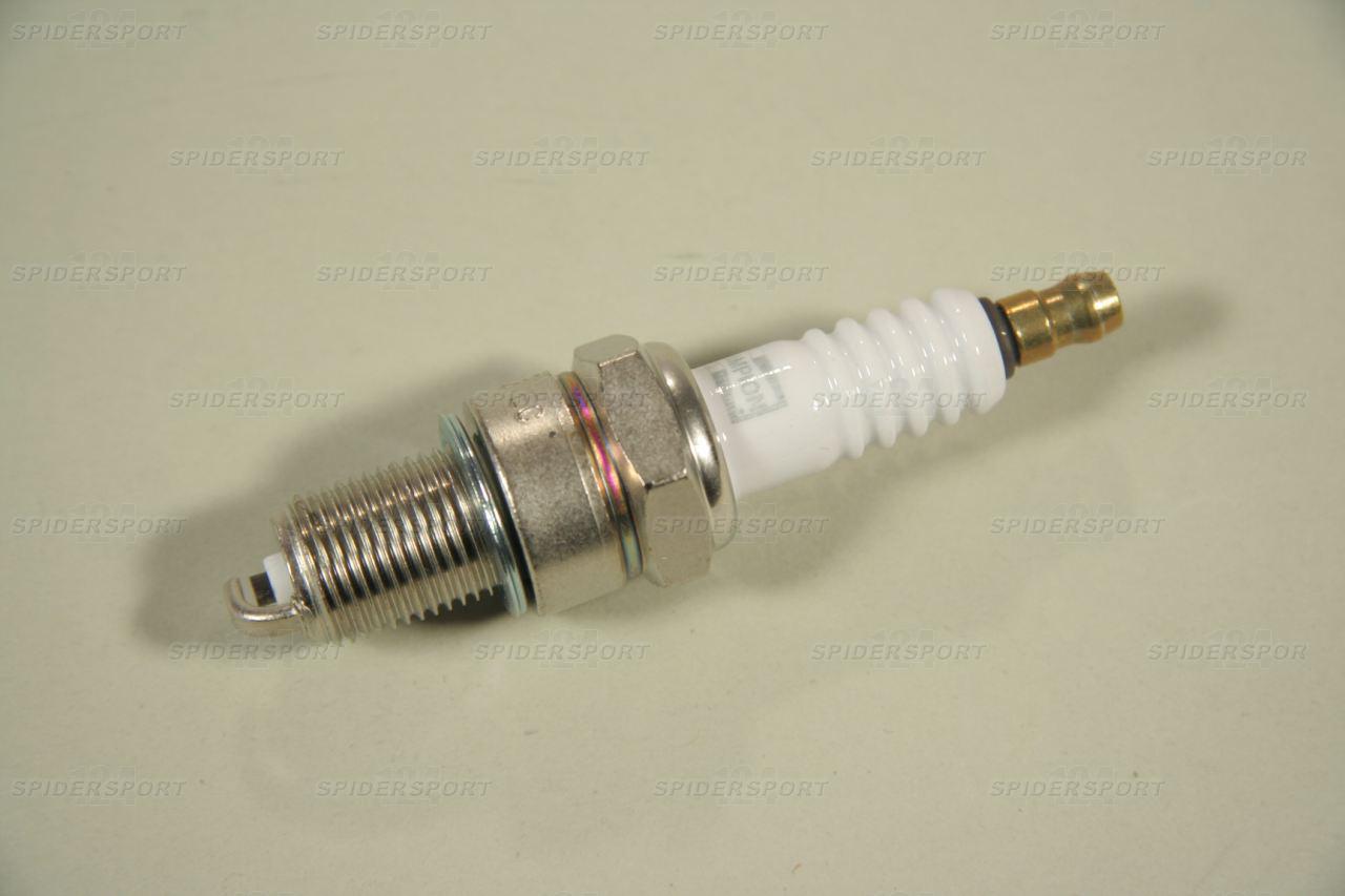 Zündkerze 1800/2000 US Vergasermodelle/2000i.e.